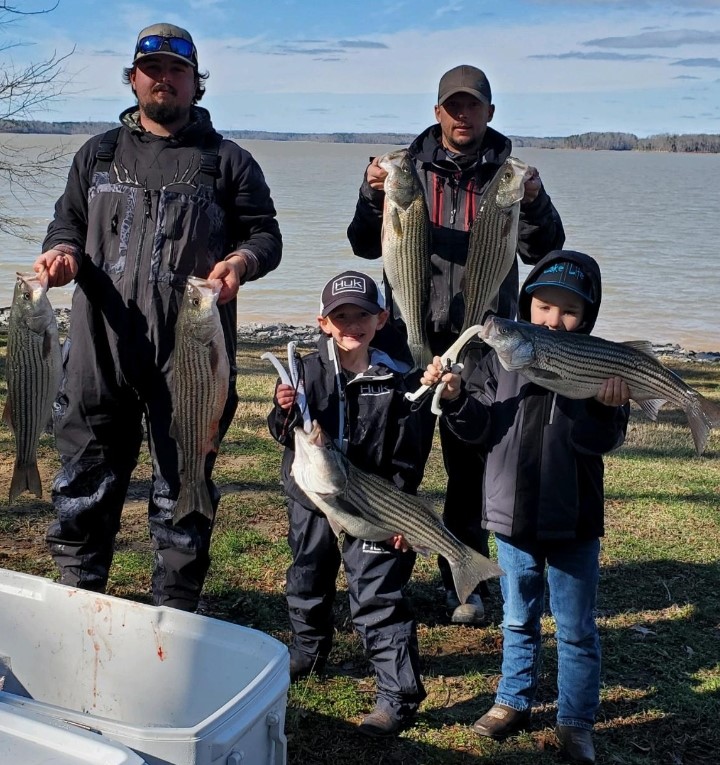 Picture of Variety of Fish